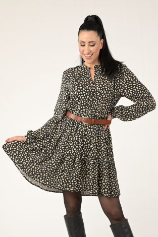 Joss 30951 Bruin