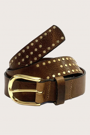 Joss 30937 Bruin