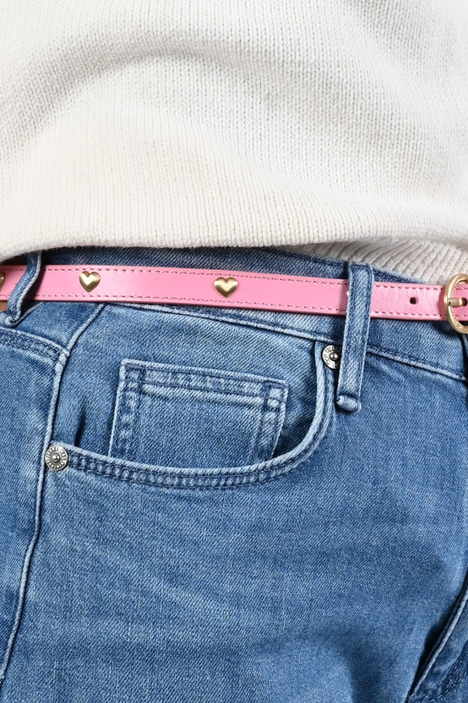 Fabienne Chapot ACCBLT17SS267028 Ceintuur Roze