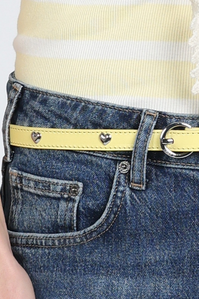 Fabienne Chapot ACCBLT17SS265024 Ceintuur Geel