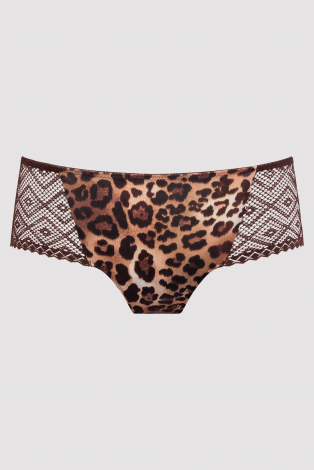 Prima Donna 0542622 giganni Bruin