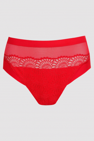 Prima Donna 0563181 sophora Rood