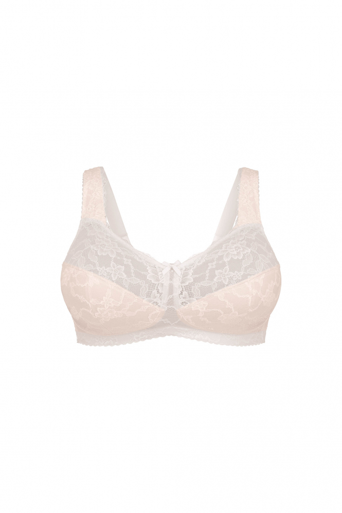 Rosa Faia 5292 BH Wit