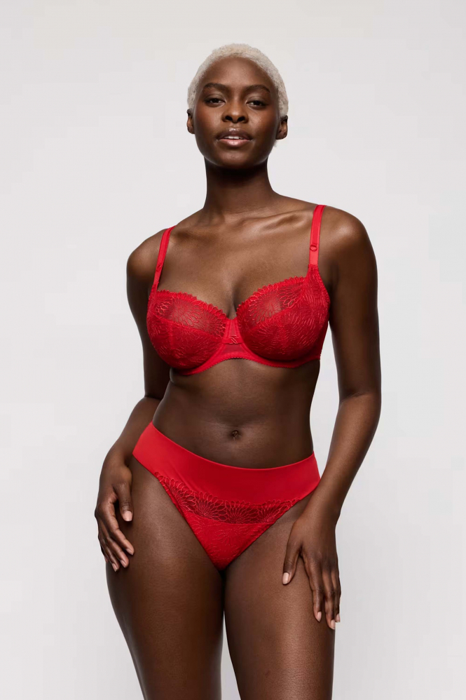 Prima Donna 0163181 sophora BH Rood