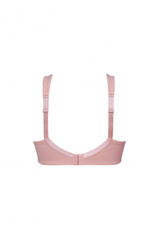 Rosa Faia 5490 Roze