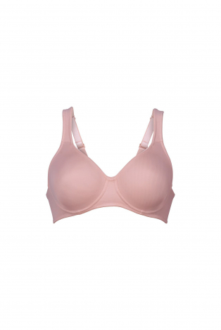 Rosa Faia 5490 Roze
