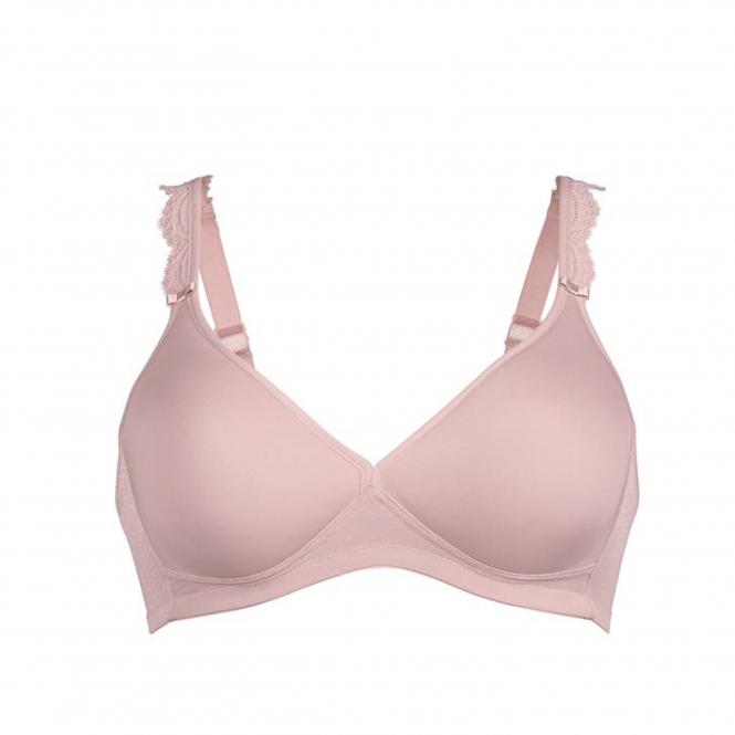 Rosa Faia 5631 BH Roze