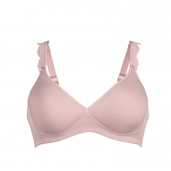 Rosa Faia 5631 Roze