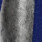 Gil Bret 9536-6130 Blauw