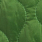 Creenstone csn0320231 Groen