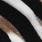 Geisha 57360-60 NOA Beige