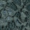 Vera Mont 0113/4825 Groen