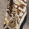 MaxMara Borgia mm12139 Beige