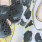 Catnoir 6350 Wit