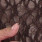 Co'couture 500052 Bruin