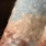 Fraas 658124 Beige