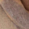 Fraas 641016 Bruin