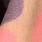 Fraas 625524 Rood