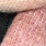 Fraas 667099 Rood